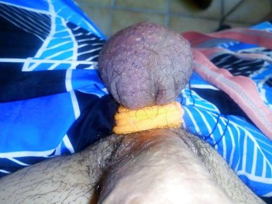 19P aj lajk piss