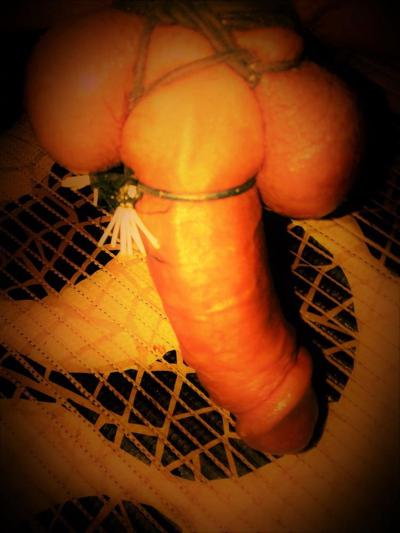 20P Dildo &amp; Cock xxxxploitation - Nika wants anal destruction