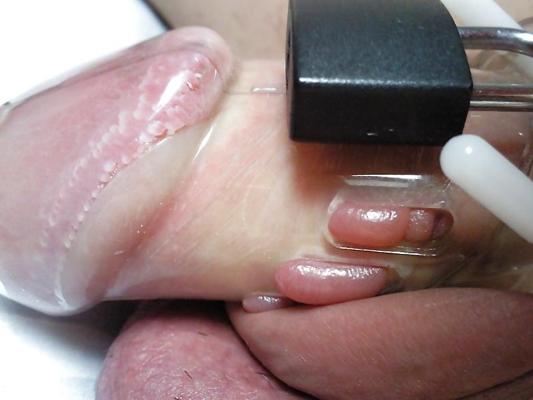 6P Chastity cage