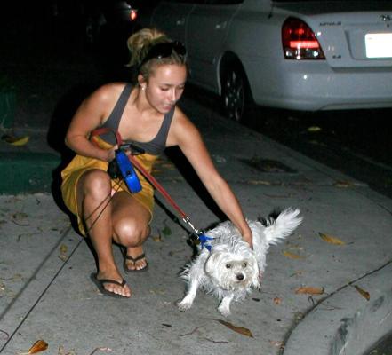 20P Voyeur Upskirt #12