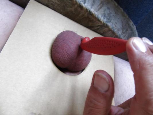 6P COCKS  BALLS  CBT