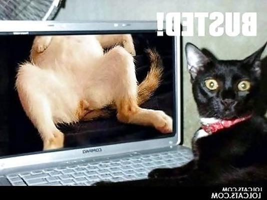 4P Lol pics :D