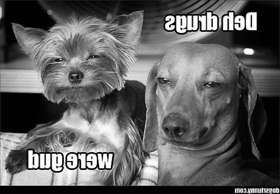 25P Funny pics!