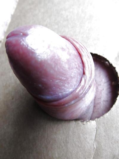 7P PENIS GAY BALLS