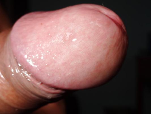 6P Dick Head