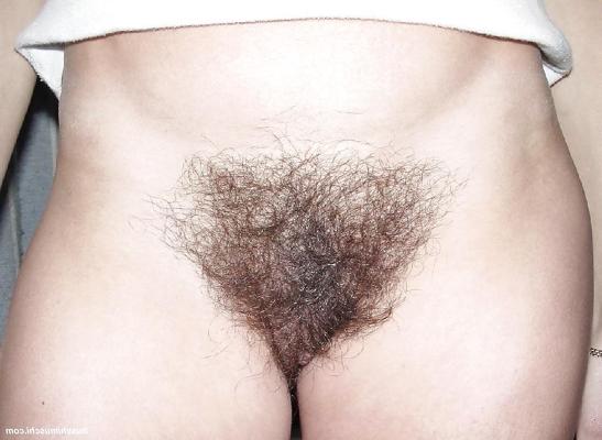 25P Hairy Bush #2