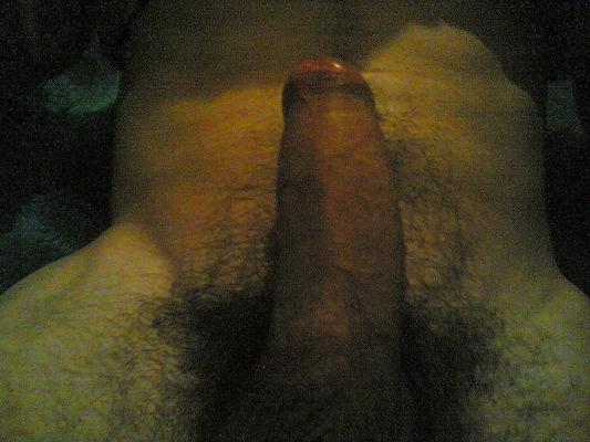 4P Sir