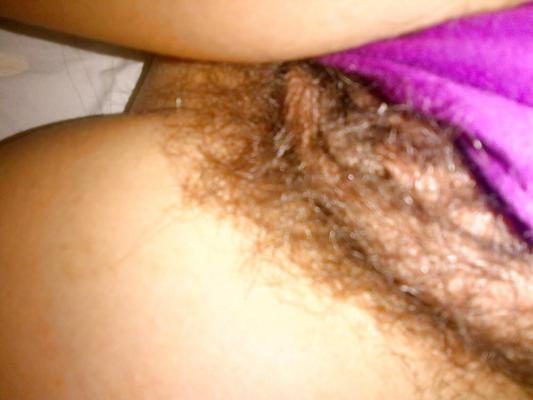8P Bush 3
