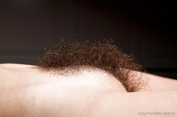 16P Amateur Homemade Porn - QcYngCpl 4