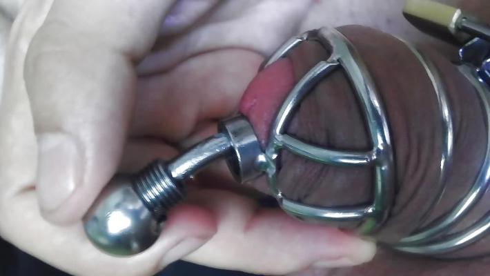 25P Cuckols Men In Chastity Cock Cages