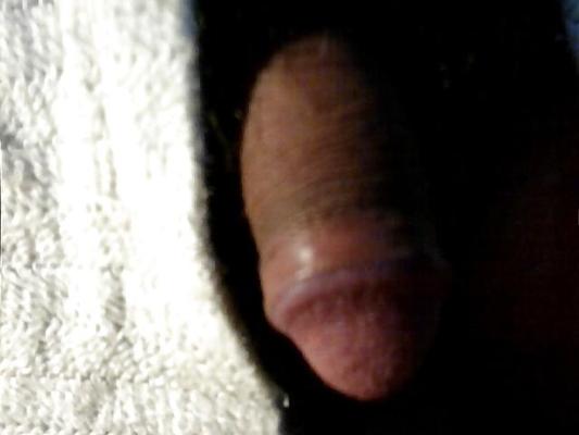 11P WebCam-写真を見てみましょう!