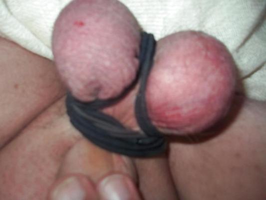 5P COCK GAY GUYS