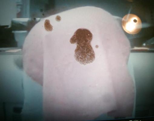 14P Indian Mature Ass