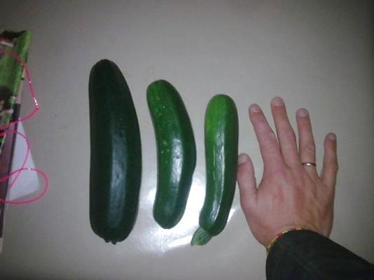 5P Vegetable