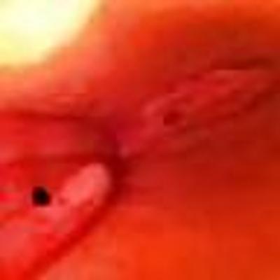 4P Wanting females for good hot sex