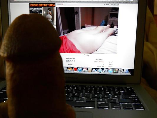 4P Onyourside regarde la femme