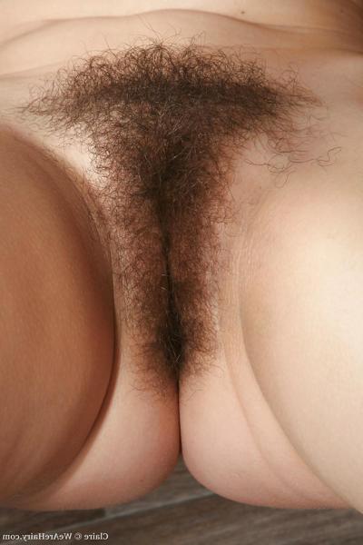 25P Hairy Pussies #1