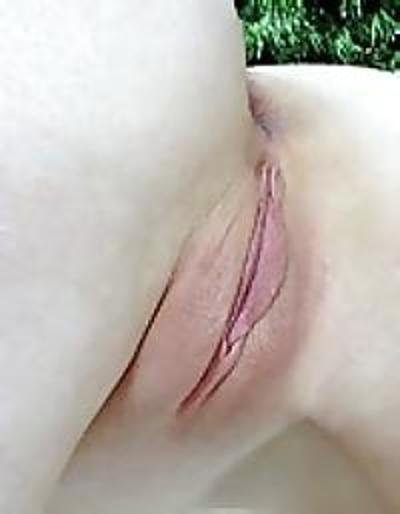 4P Shaved and Closeup
