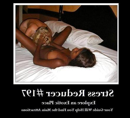 20P Lustige Stressreduzierer 197 bis 216 83112