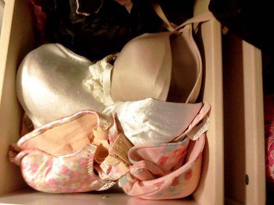 4P Wife's Panty and Bra Drawers