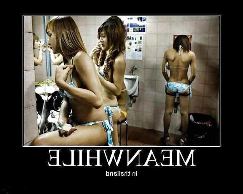25P Funny pics