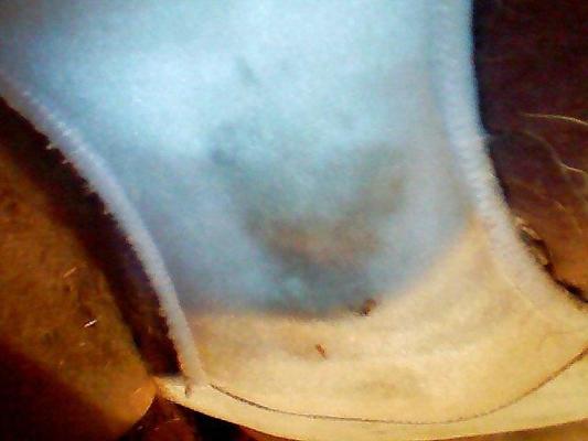 4P Nightie's and dirty panites