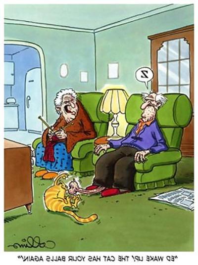9P Funny Cartoons 2