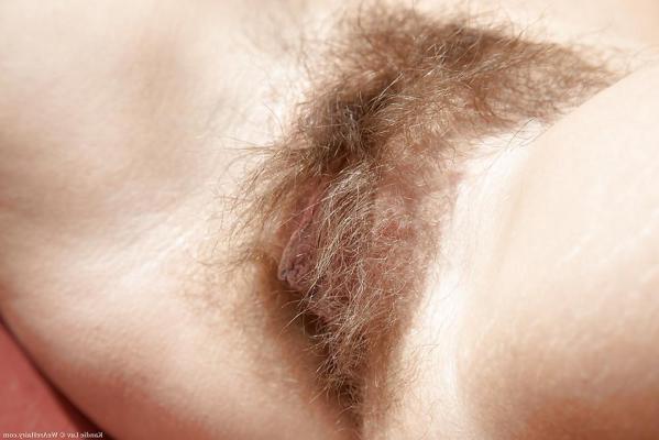 20P Hairy Bush #5