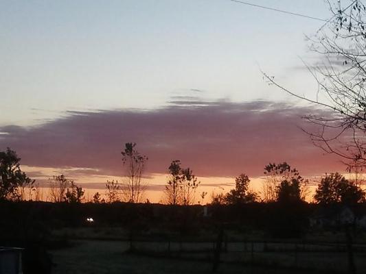 6P Thru the window 