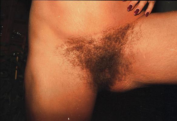 14P Big hairy bush