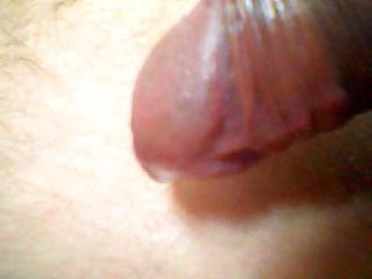 4P Cappella con goccia di pre cum...
