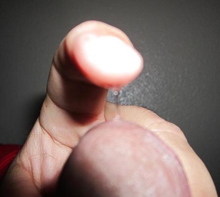 6P Ma bite avec du précum en discutant avec un ami