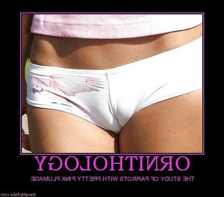 12P CamelToe - Моя десятка лучших