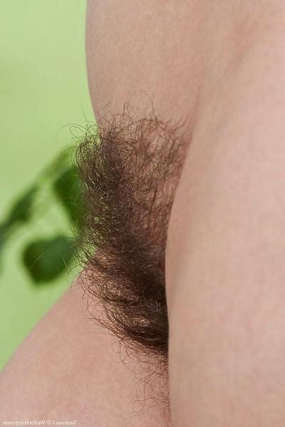 20P More bush