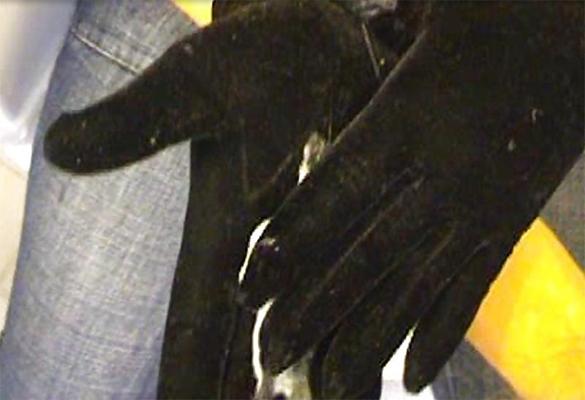 4P Black gloves and blue jeans