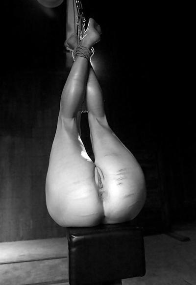 15P Dominance and submission 27