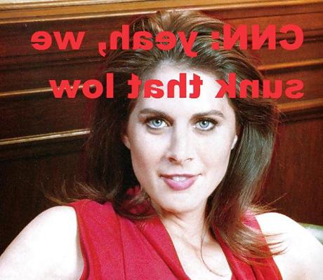 22P Erin Burnett - CNN Bimbo Showing Off Her Tits & Ass (Fakes)