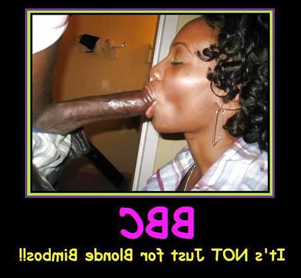 20P Images et affiches sous-titrées sexy et drôles CCII 4813