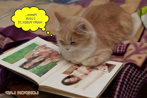 25P LUSTIGE BILDER (LL)
