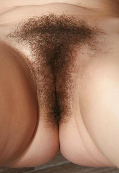 25P Moshe ファイルより: la coiffure hirsute