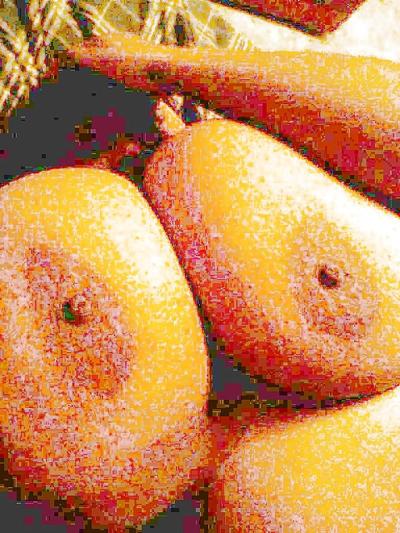 13P Большие черные сиськи 6