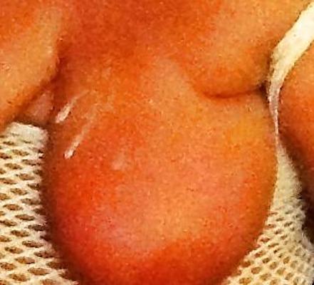 21P Большие сиськи Рионы