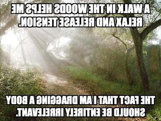 15P Забавная правда