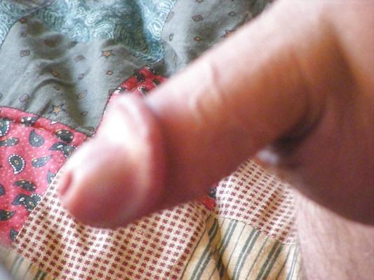 18P Mon petit Willy