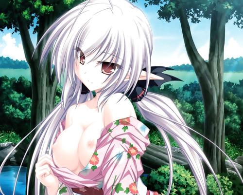 25P A few Hentai Pictures..