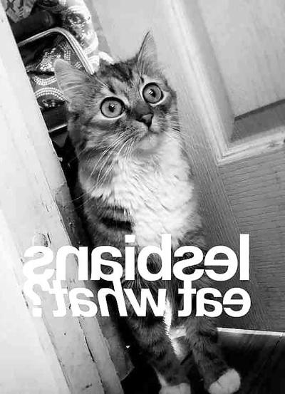 13P Lustige Bilder