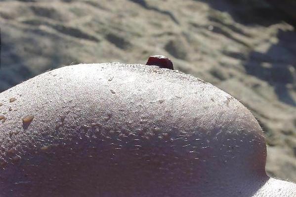 25P Nudist Beach Grobbing III