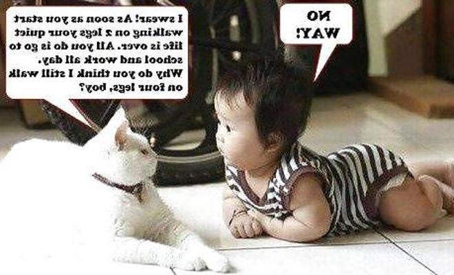 7P Funny quotes 04