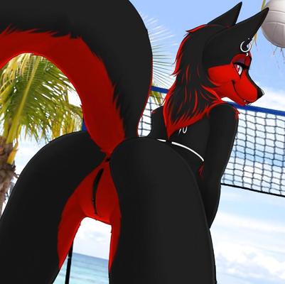 16P Hentai Furry