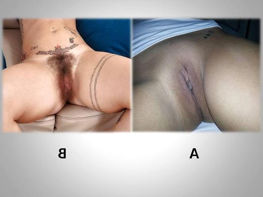 6P Concours de chattes, quelle chatte vous préférez.